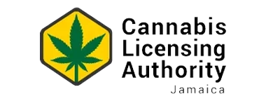 Cannabis Licensing Authority Jamaica